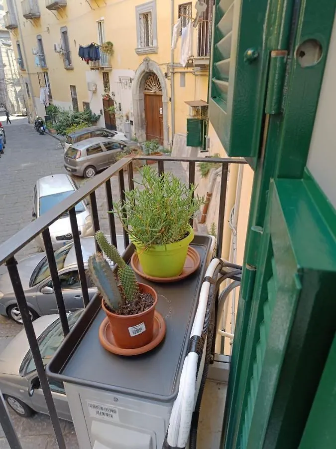 Domusmadre Apartment Naples Italy